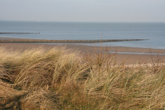 sandburg.nl