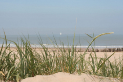 sandburg.nl